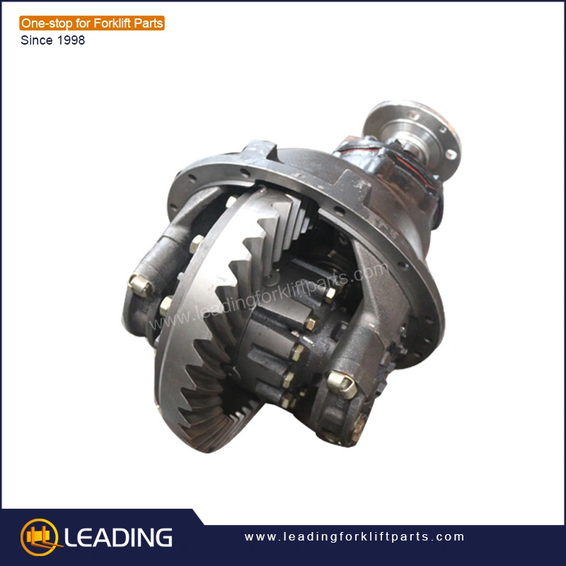 High Quality Custom Size Internal Ring Gear