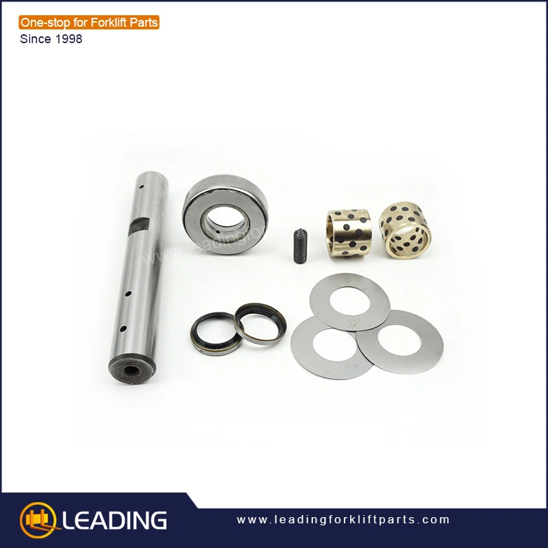 Forklift Parts Knuckle Service Kit 30dh-210000 for Heli Truck Heli Lift Trucks Cpcd25 Forklift